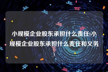 小规模企业股东承担什么责任(小规模企业股东承担什么责任和义务)