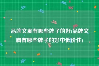 品牌文胸有哪些牌子的好(品牌文胸有哪些牌子的好中低价住)