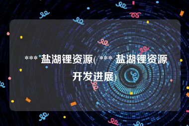  *** 盐湖锂资源( *** 盐湖锂资源开发进展)