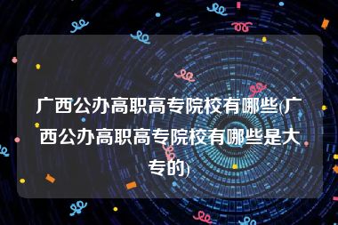 广西公办高职高专院校有哪些(广西公办高职高专院校有哪些是大专的)