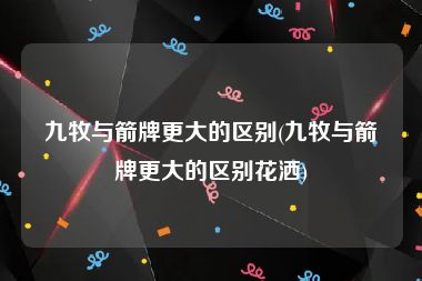 九牧与箭牌更大的区别(九牧与箭牌更大的区别花洒)