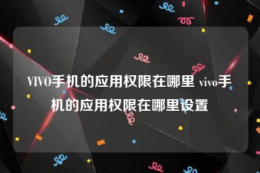 VIVO手机的应用权限在哪里 vivo手机的应用权限在哪里设置