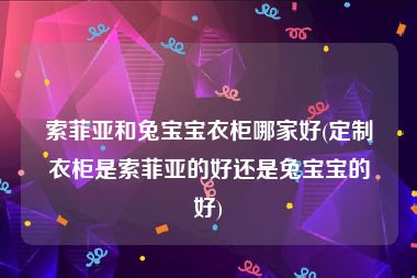 索菲亚和兔宝宝衣柜哪家好(定制衣柜是索菲亚的好还是兔宝宝的好)