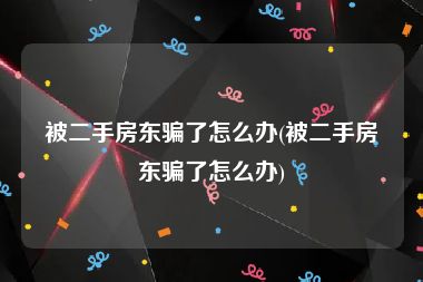 被二手房东骗了怎么办(被二手房东骗了怎么办)