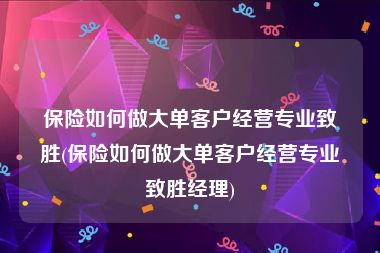 保险如何做大单客户经营专业致胜(保险如何做大单客户经营专业致胜经理)