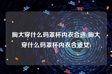 胸大穿什么码罩杯内衣合适(胸大穿什么码罩杯内衣合适女)