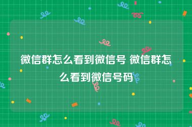 微信群怎么看到微信号 微信群怎么看到微信号码