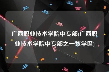 广西职业技术学院中专部(广西职业技术学院中专部之一教学区)