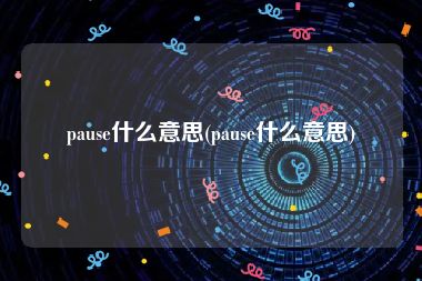 pause什么意思(pause什么意思)
