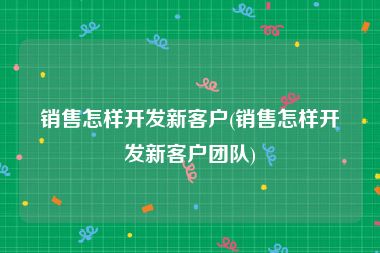销售怎样开发新客户(销售怎样开发新客户团队)