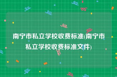 南宁市私立学校收费标准(南宁市私立学校收费标准文件)