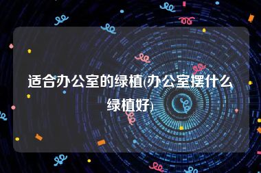 适合办公室的绿植(办公室摆什么绿植好)