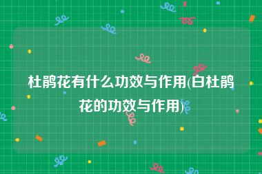 杜鹃花有什么功效与作用(白杜鹃花的功效与作用)
