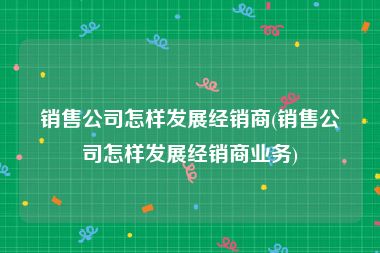 销售公司怎样发展经销商(销售公司怎样发展经销商业务)