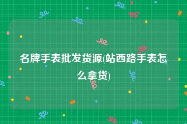 名牌手表批发货源(站西路手表怎么拿货)