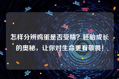 怎样分辨鸡蛋是否受精？胚胎成长的奥秘，让你对生命更有敬畏！