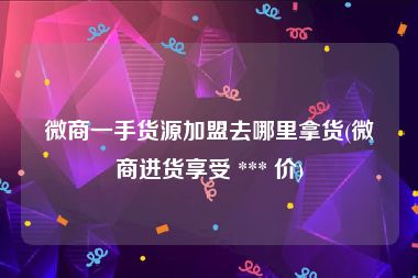 微商一手货源加盟去哪里拿货(微商进货享受 *** 价)