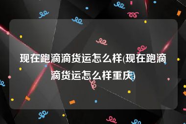 现在跑滴滴货运怎么样(现在跑滴滴货运怎么样重庆)