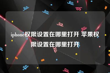 iphone权限设置在哪里打开 苹果权限设置在哪里打开