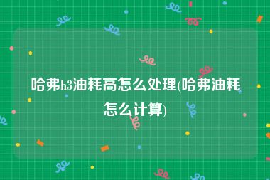 哈弗h3油耗高怎么处理(哈弗油耗怎么计算)