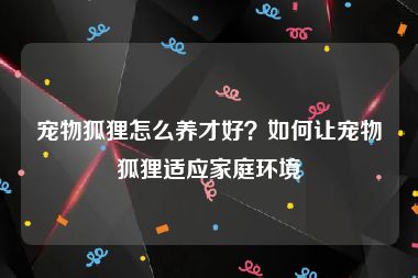 宠物狐狸怎么养才好？如何让宠物狐狸适应家庭环境