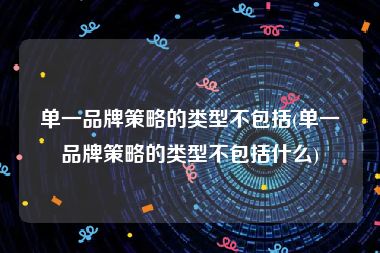 单一品牌策略的类型不包括(单一品牌策略的类型不包括什么)
