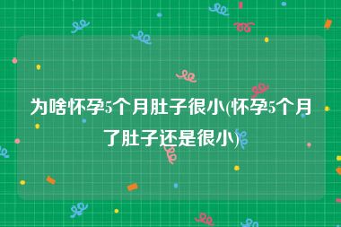 为啥怀孕5个月肚子很小(怀孕5个月了肚子还是很小)
