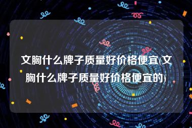 文胸什么牌子质量好价格便宜(文胸什么牌子质量好价格便宜的)