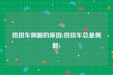 扭扭车侧翻的原因(扭扭车总是侧翻)