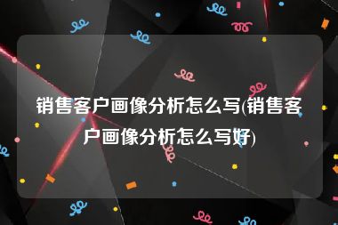 销售客户画像分析怎么写(销售客户画像分析怎么写好)