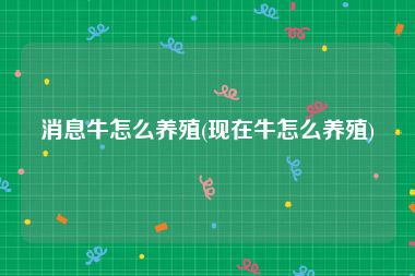 消息牛怎么养殖(现在牛怎么养殖)