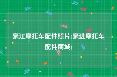 豪江摩托车配件照片(豪进摩托车配件商城)
