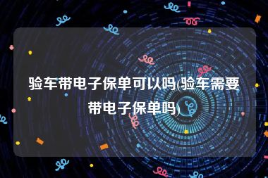 验车带电子保单可以吗(验车需要带电子保单吗)