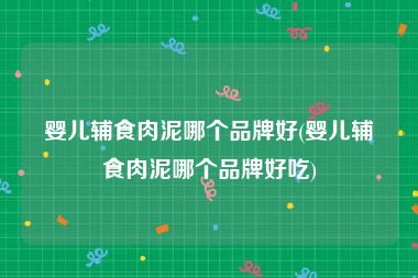 婴儿辅食肉泥哪个品牌好(婴儿辅食肉泥哪个品牌好吃)