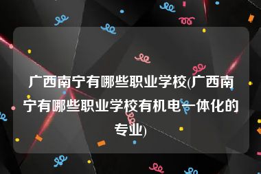 广西南宁有哪些职业学校(广西南宁有哪些职业学校有机电一体化的专业)