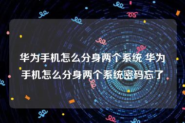 华为手机怎么分身两个系统 华为手机怎么分身两个系统密码忘了