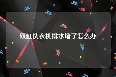 双缸洗衣机排水堵了怎么办
