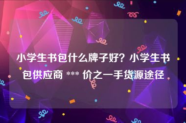 小学生书包什么牌子好？小学生书包供应商 *** 价之一手货源途径