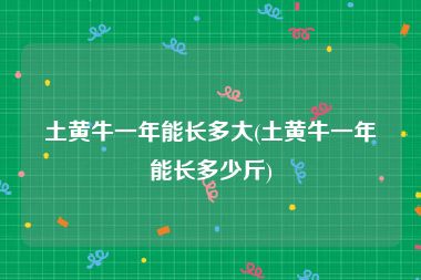 土黄牛一年能长多大(土黄牛一年能长多少斤)