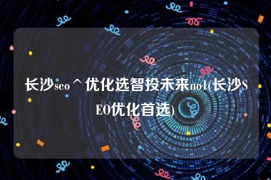 长沙seo^优化选智投未来no1(长沙SEO优化首选)
