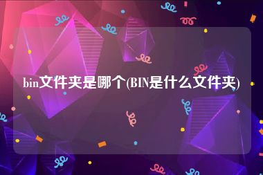 bin文件夹是哪个(BIN是什么文件夹)