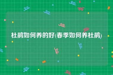 杜鹃如何养的好(春季如何养杜鹃)