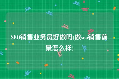 SEO销售业务员好做吗(做seo销售前景怎么样)
