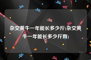 杂交黄牛一年能长多少斤(杂交黄牛一年能长多少斤肉)