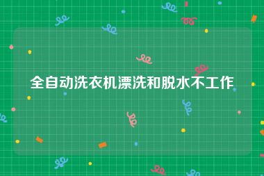全自动洗衣机漂洗和脱水不工作