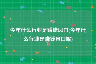 今年什么行业是赚钱风口(今年什么行业是赚钱风口呢)