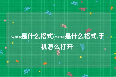 wma是什么格式(wma是什么格式,手机怎么打开)