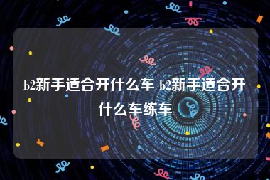 b2新手适合开什么车 b2新手适合开什么车练车