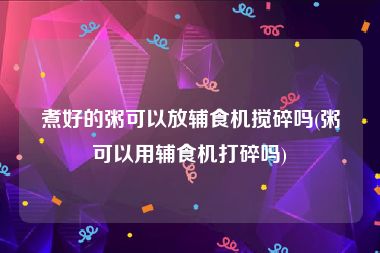 煮好的粥可以放辅食机搅碎吗(粥可以用辅食机打碎吗)
