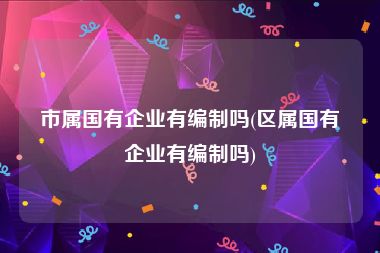 市属国有企业有编制吗(区属国有企业有编制吗)